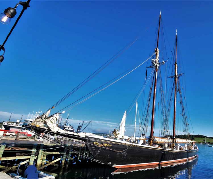 bluenose schooner